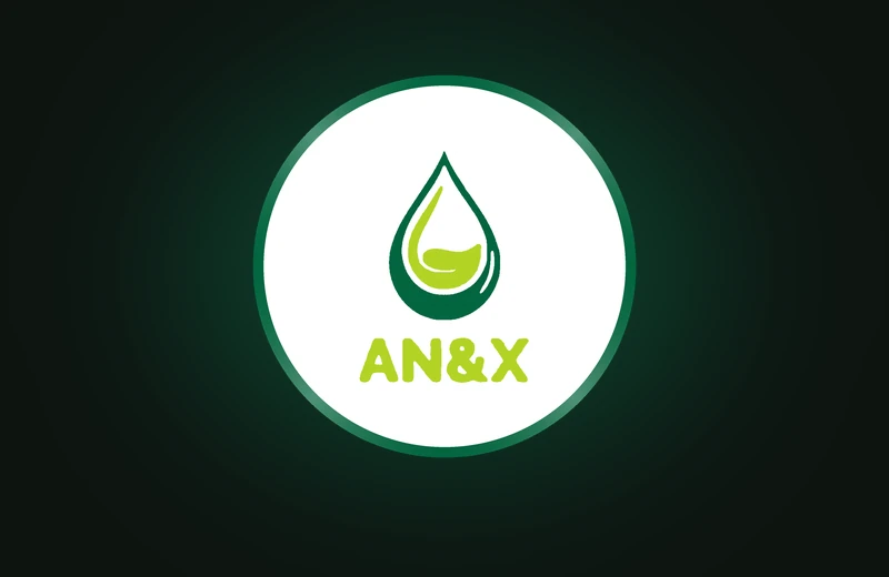 Logomarca Oficial AN&X Engenharia e Soluções Ambientais